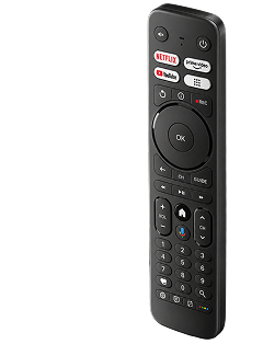 remote control